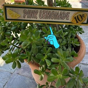 Home Wall Decor  “Pink Lemonade” Vintage